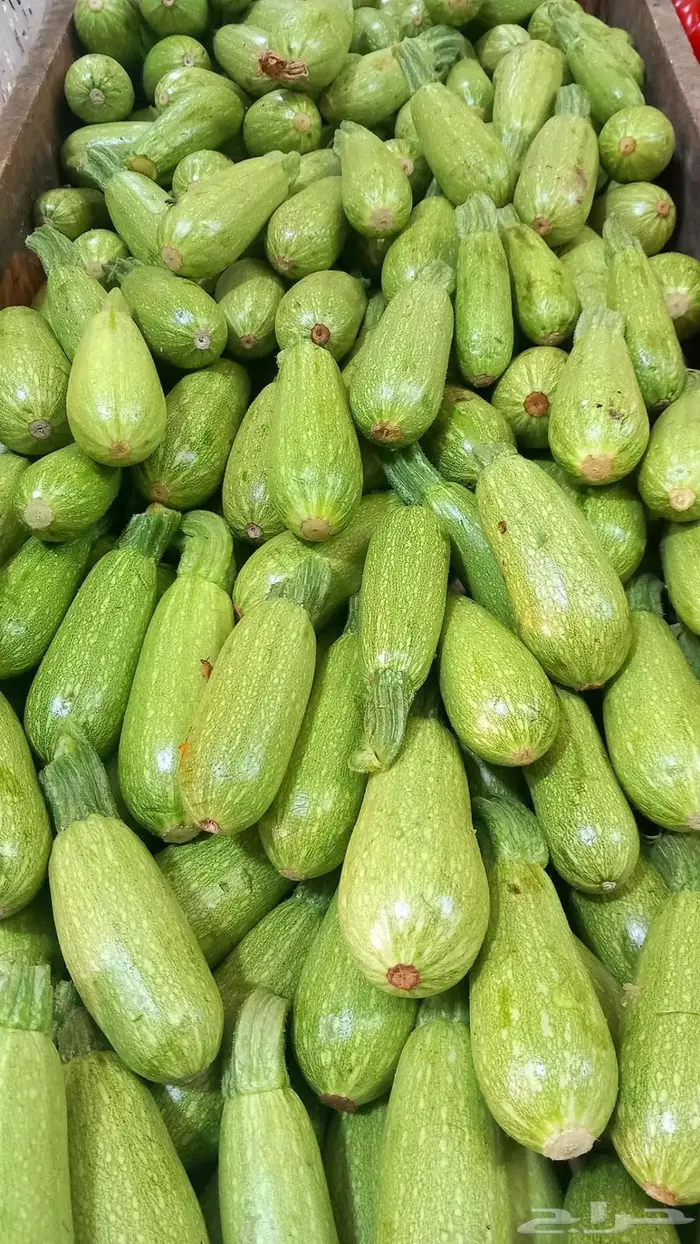 مورد الفواكة والخضروات الطازجة بجدة بافضل جودة وافضل سعر 48