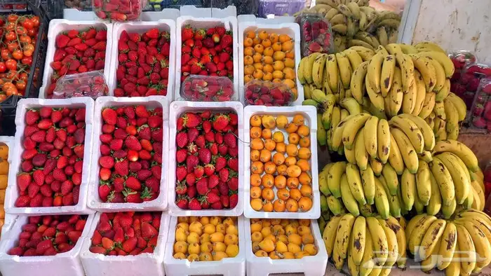 مورد الفواكة والخضروات الطازجة بجدة بافضل جودة وافضل سعر 61