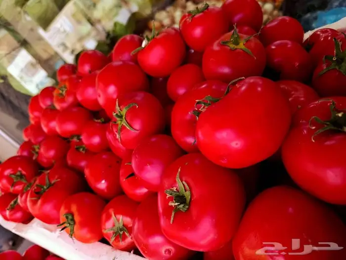 مورد الفواكة والخضروات الطازجة بجدة بافضل جودة وافضل سعر 19