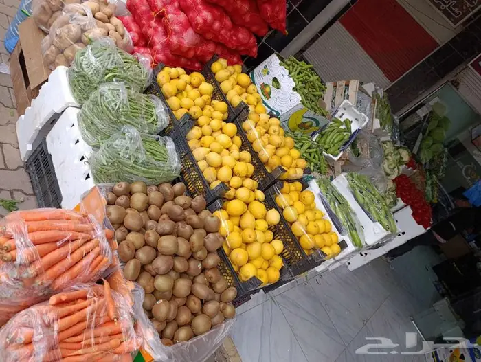 مورد الفواكة والخضروات الطازجة بجدة بافضل جودة وافضل سعر 37