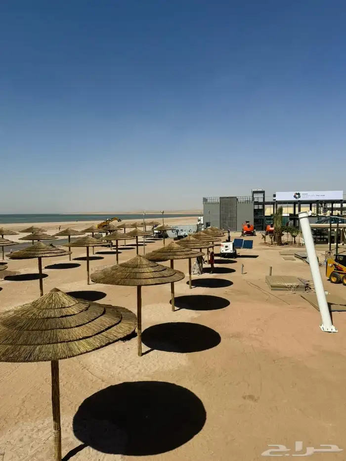 بامبو  خيزران  خوص  قش 3