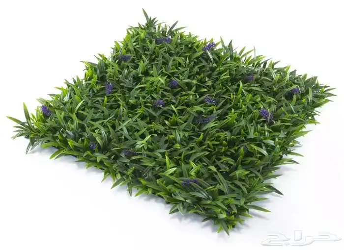 عشب صناعي جداري 23