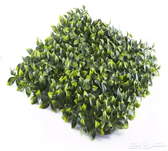 عشب صناعي جداري 18