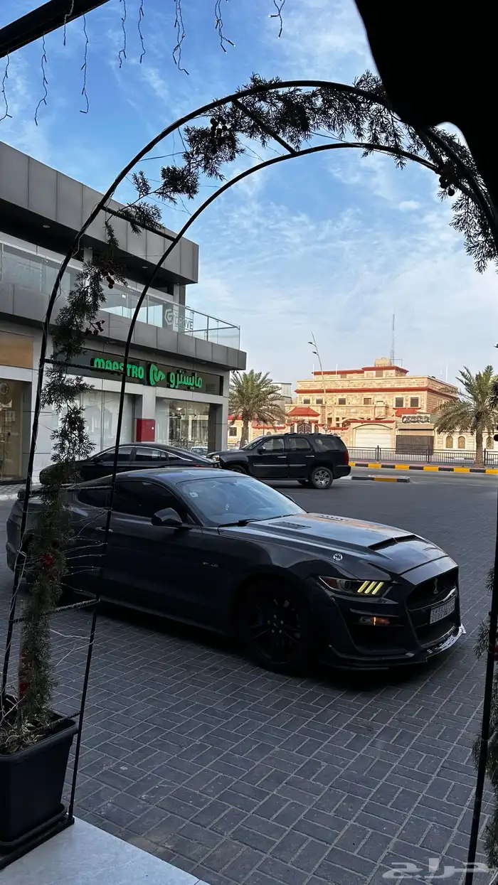 موستنق 2016 20