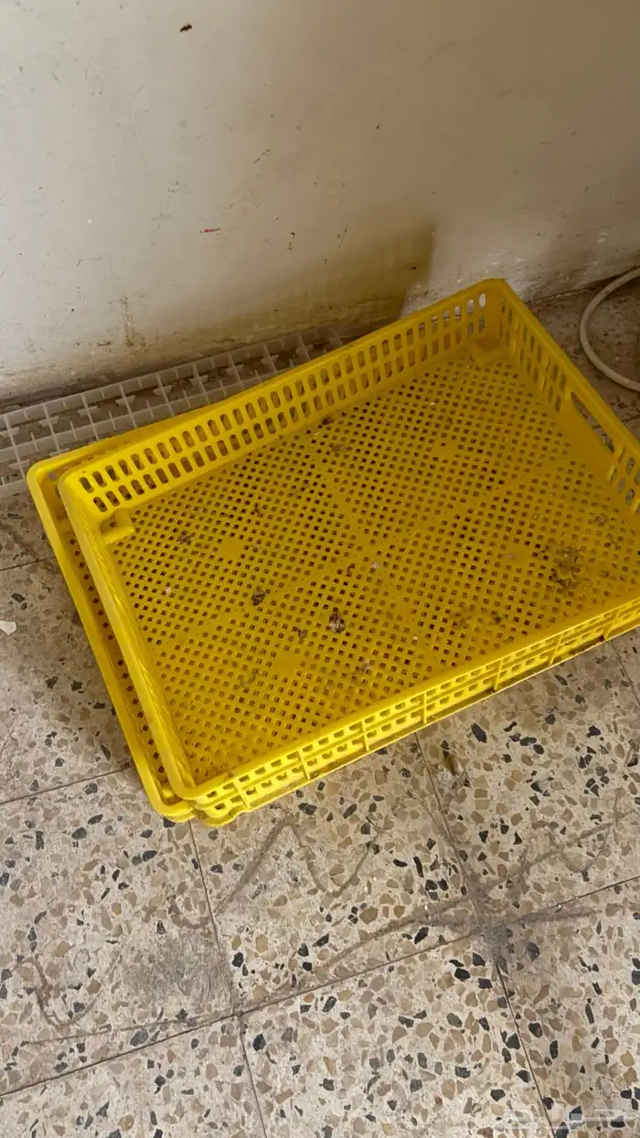 فقياسات للبيع 3