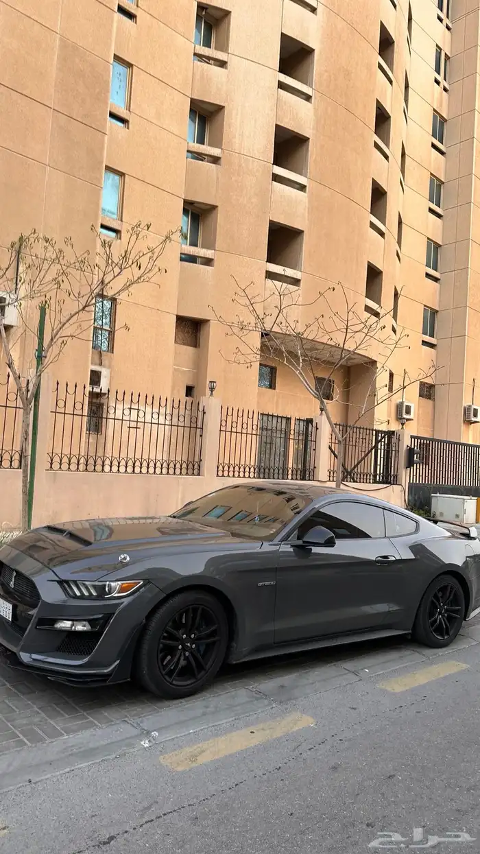 موستنق 2016 2