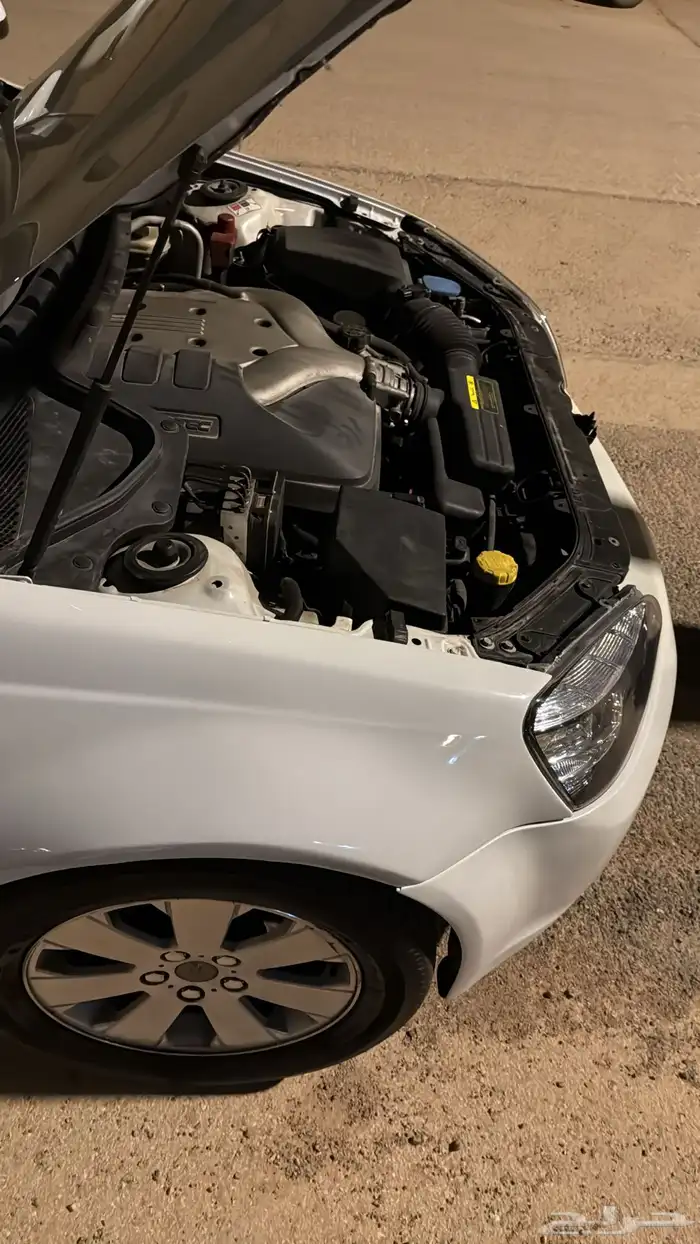 كابرس 2009 ممشى نظافة 6