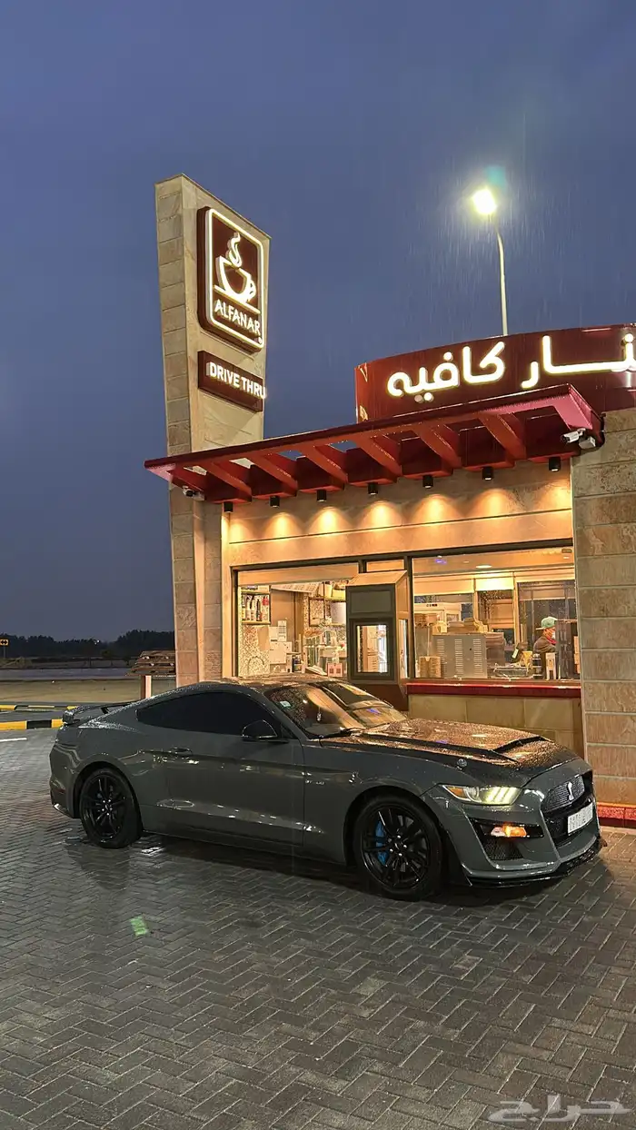 موستنق 2016 13