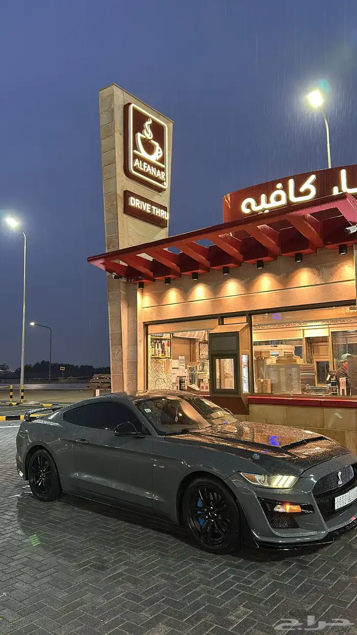 موستنق 2016 15