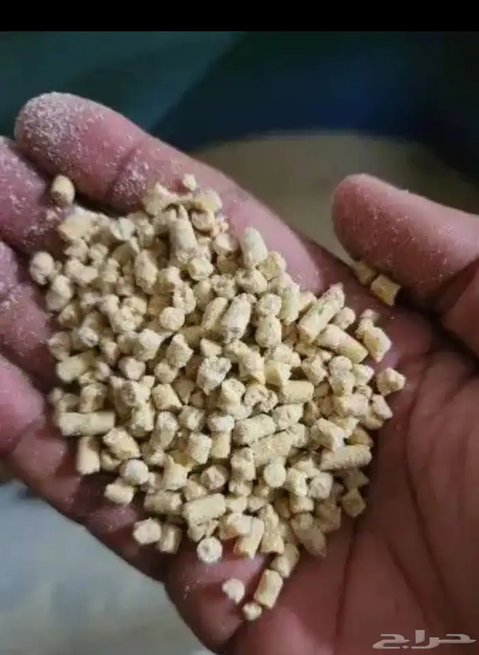 علف دجاج ناعم ومحبب وخشن متوفر الان 600كيس 0