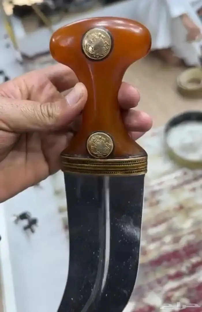 جنبيه وتر شبيه زراف 2
