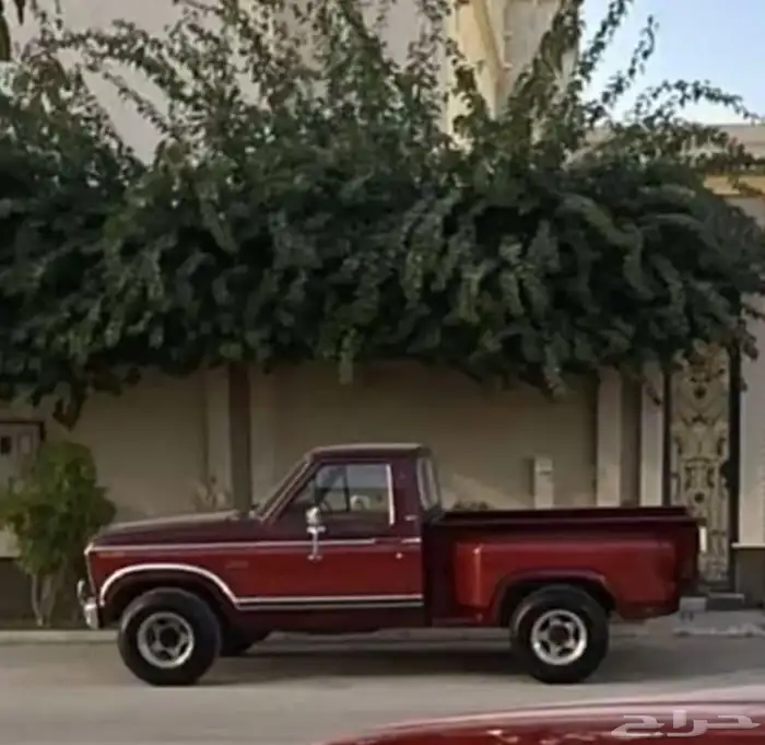 فورد F-150 كلاسيك 1982 3