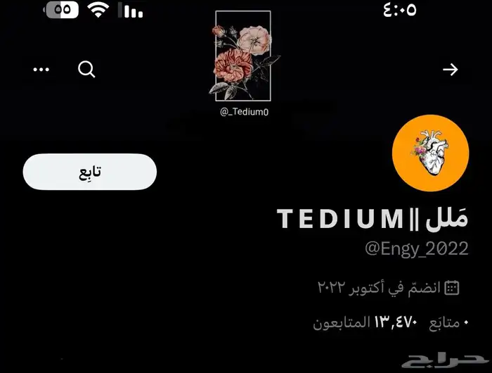حساب تويت.ر 13k 0