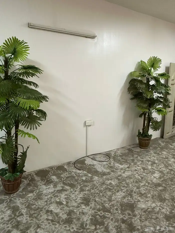 اشجار صناعية البيع 0