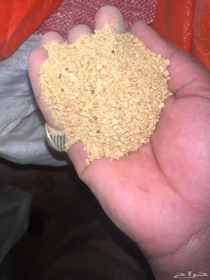 علف دجاج ناعم ومحبب وخشن متوفر الان 600كيس 7