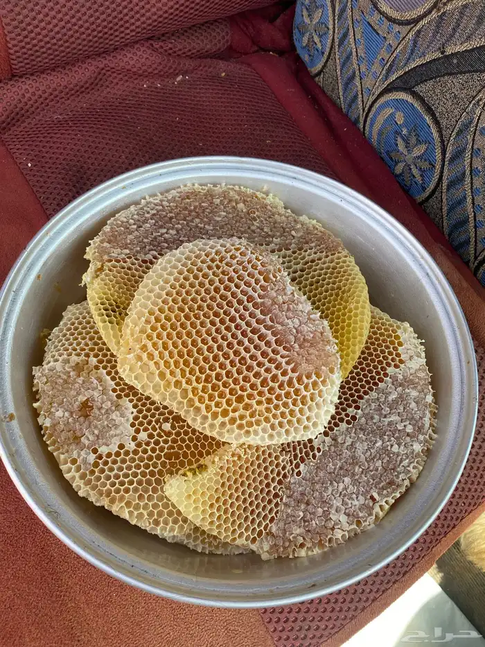عسل سمره ناقي مشاء الله تبارك الله 0
