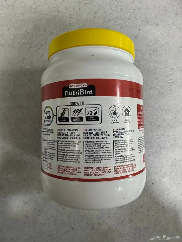 اكل طيور روز 1