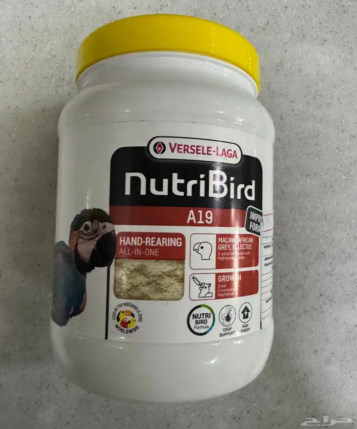 اكل طيور روز 0
