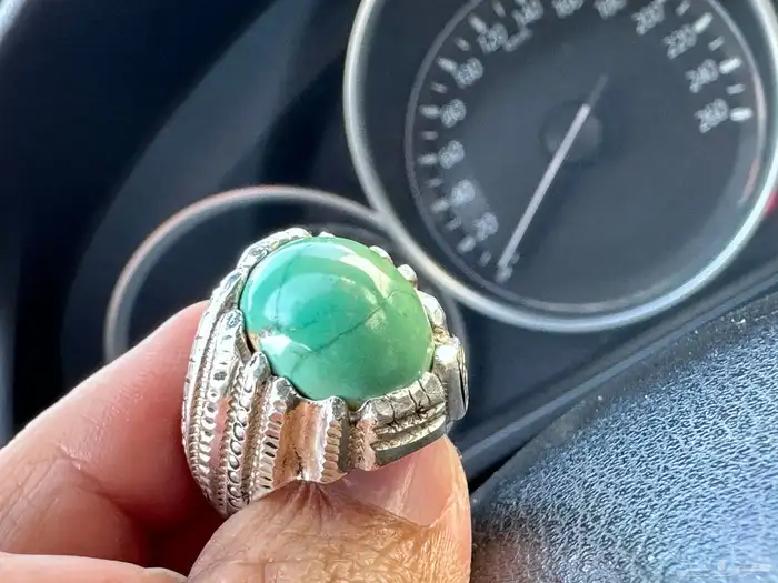 فيروز نيشابوري حسيني 4