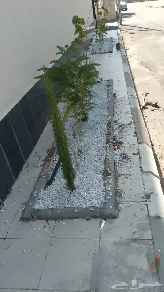 تنسيق حدايق وتصميم 2