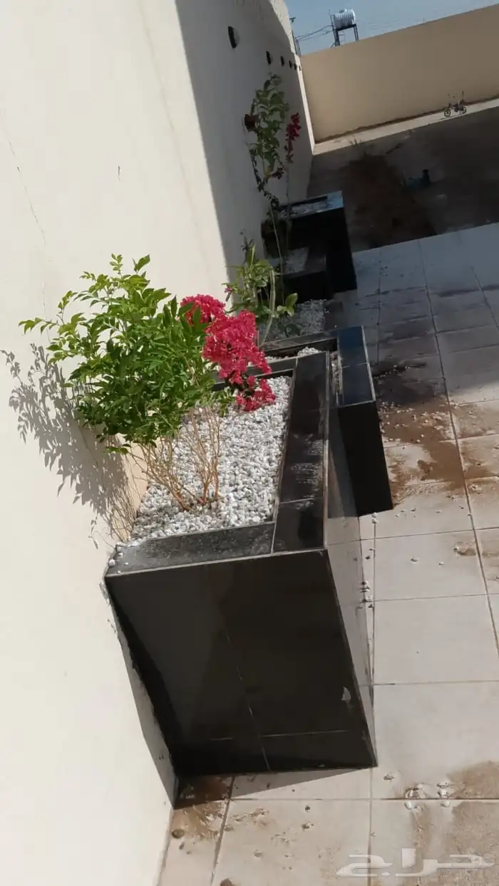 تنسيق حدايق وتصميم 1