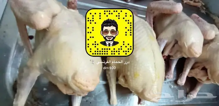 زغاليل حمام فرنسي ماشاء الله 2