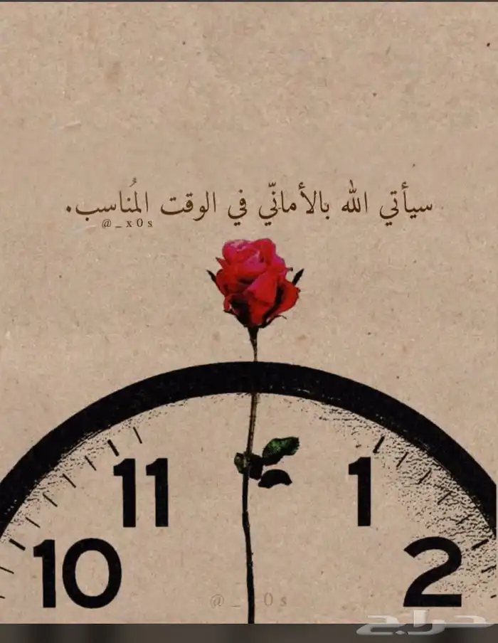 معلمه لمراحل التعليمه تأسيس وخبره طويله 0