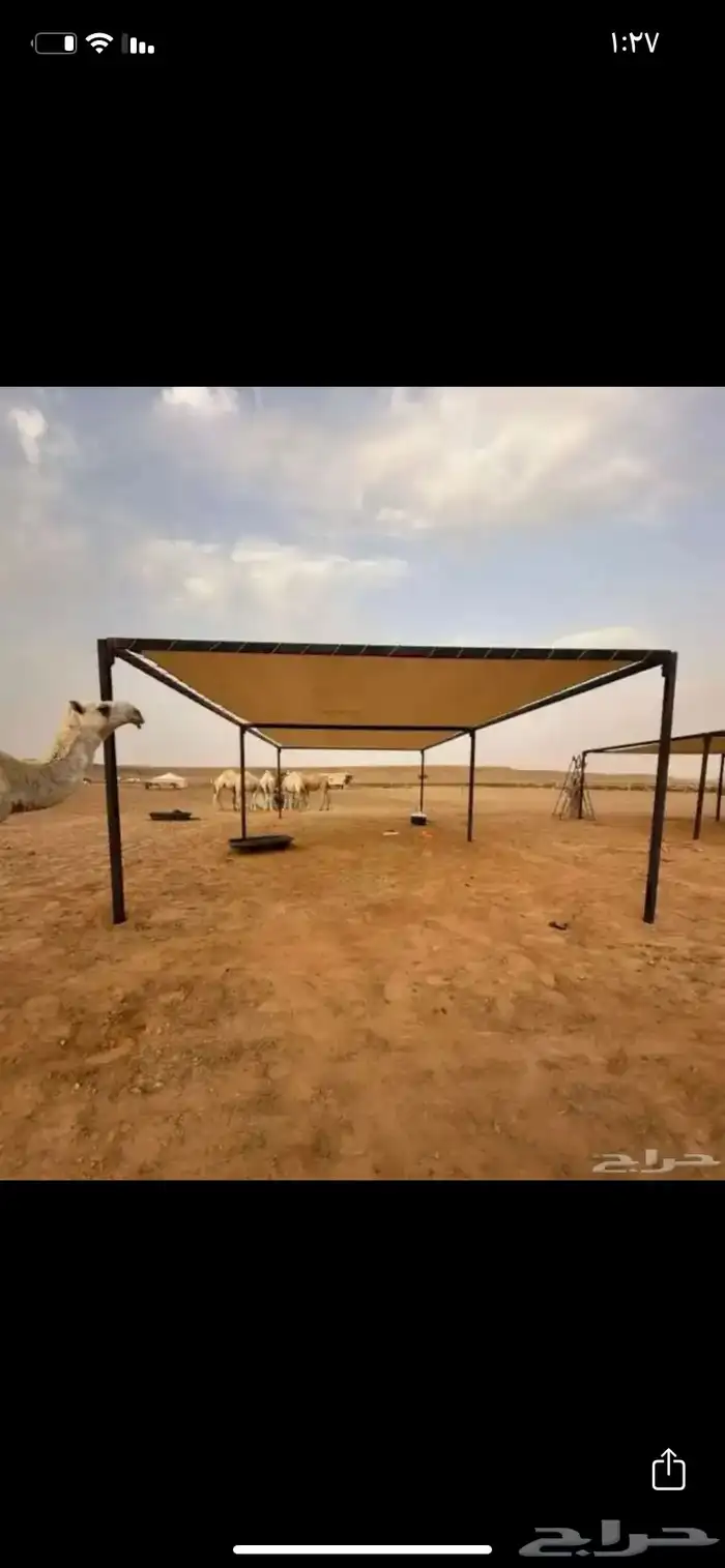 مظلات أبل 0