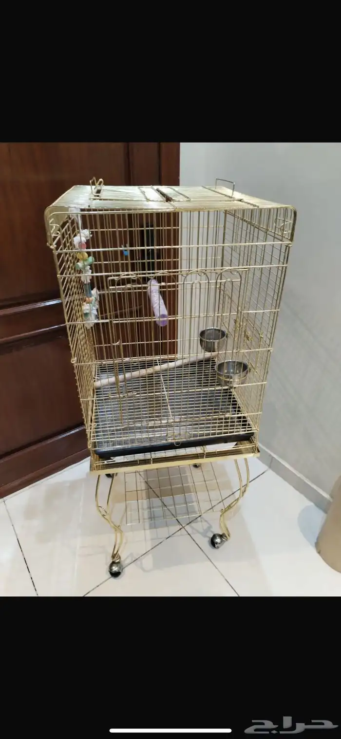 قفص بغبغاء 1
