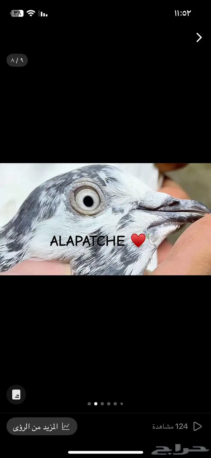 تم البيع 7