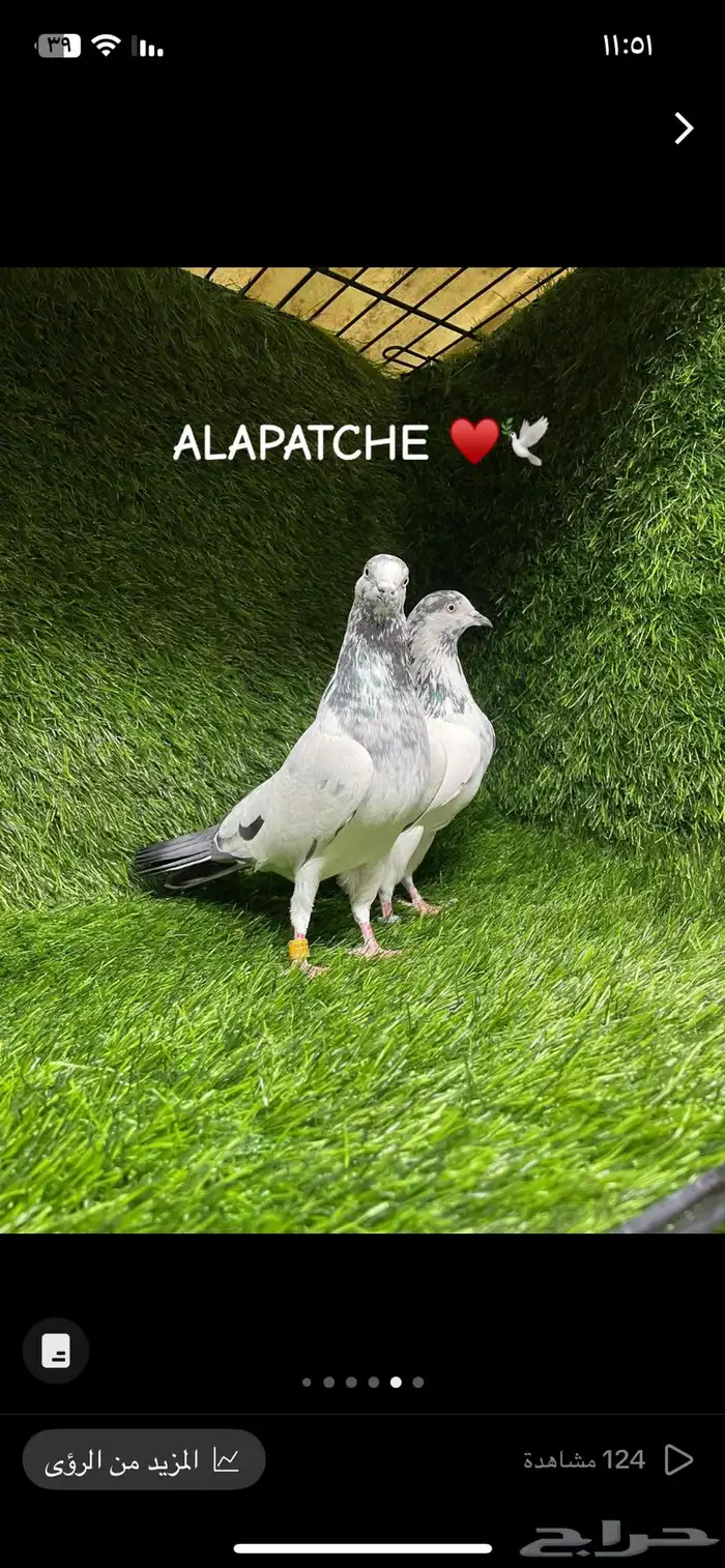 تم البيع 1