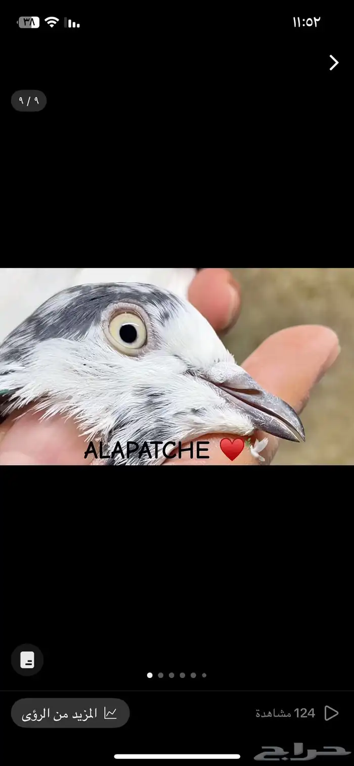 تم البيع 8
