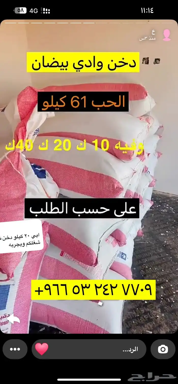دخن وادي بيضان جنوب غرب مهد الذهب 1