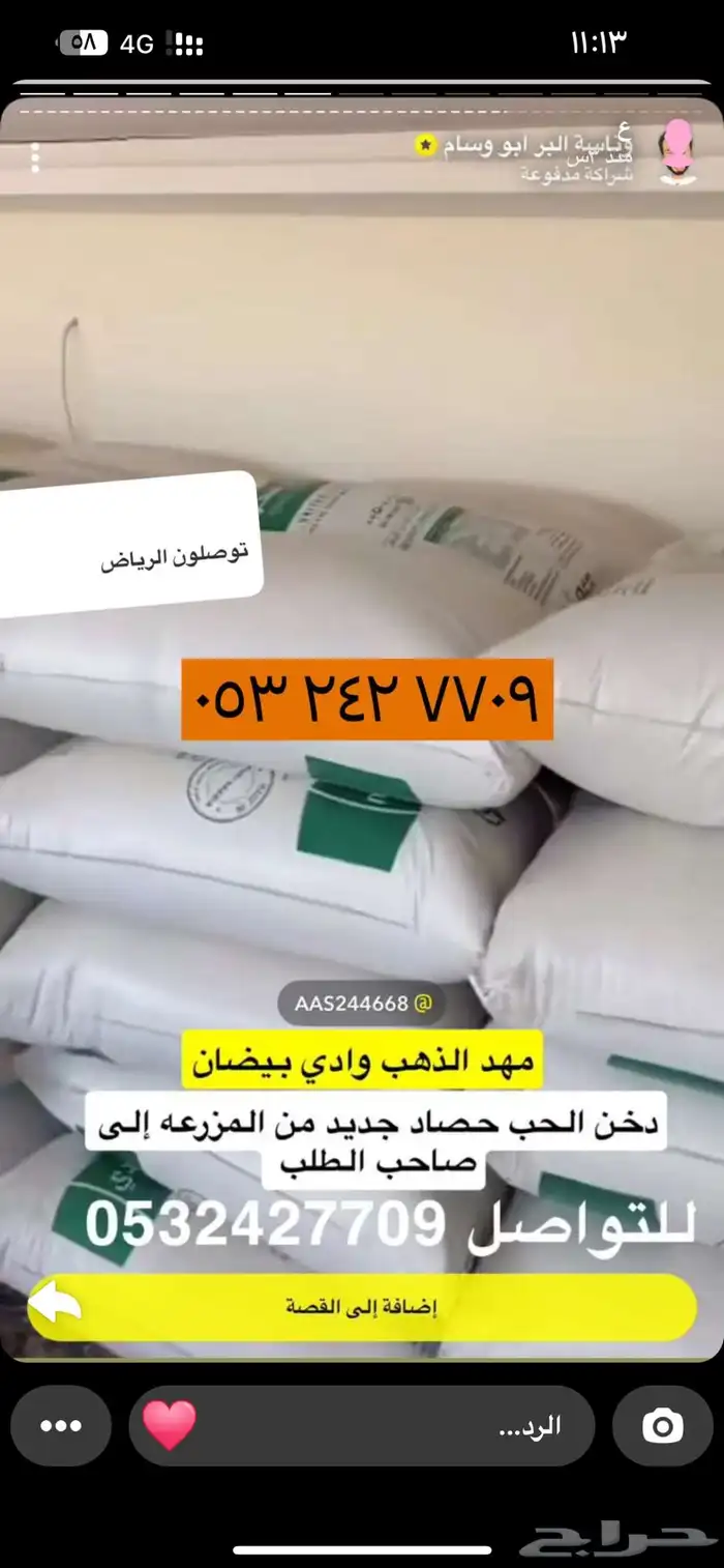دخن وادي بيضان جنوب غرب مهد الذهب 0