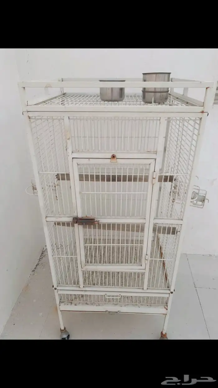 قفص ببغاء 5