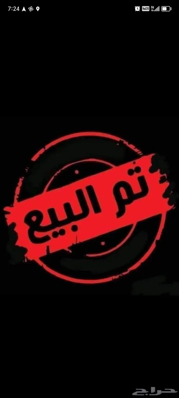 طيور زيبرا للبيع 0