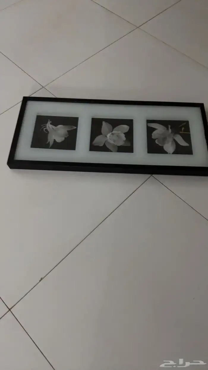 لوحه مرسمه لون اسود وابيض 2