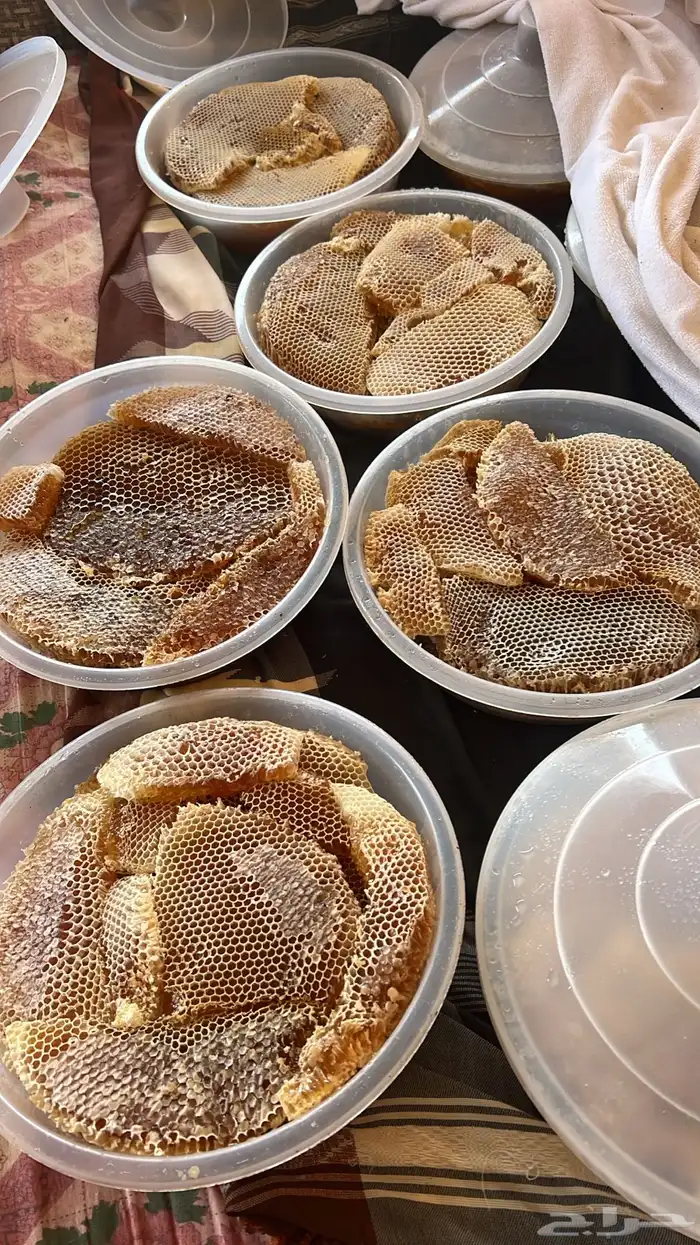 عسل سمرة تهامه 0