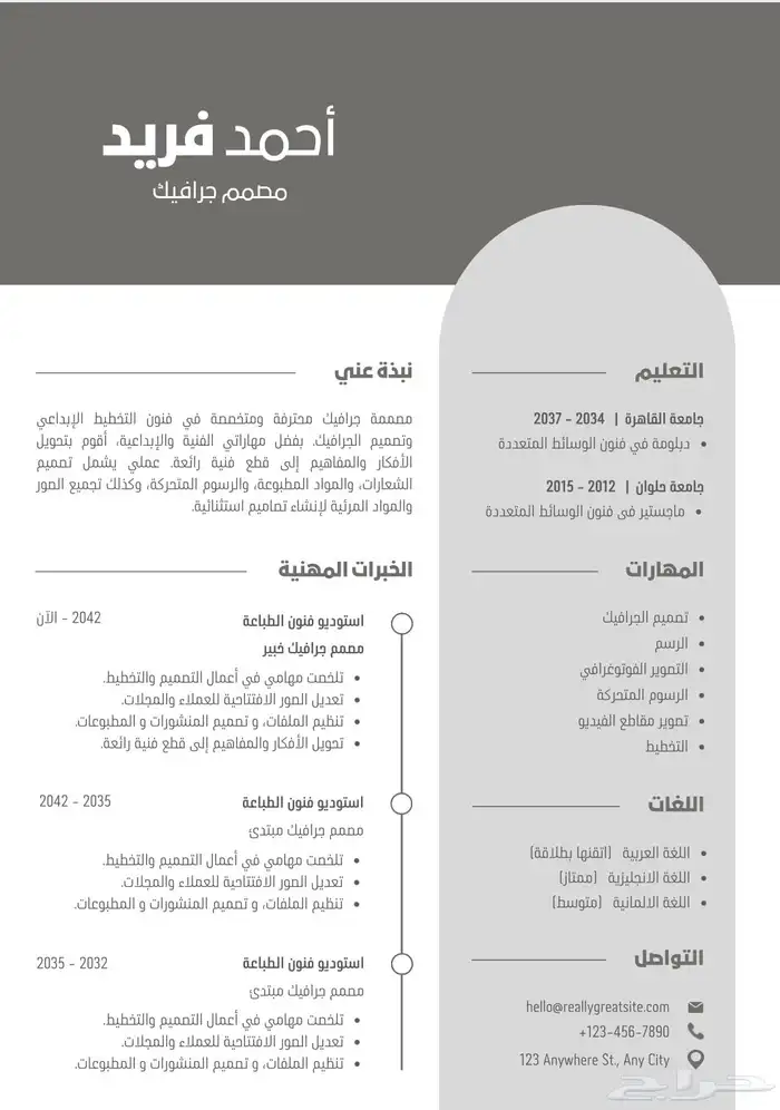 سيرة ذاتيه أحترافية 2