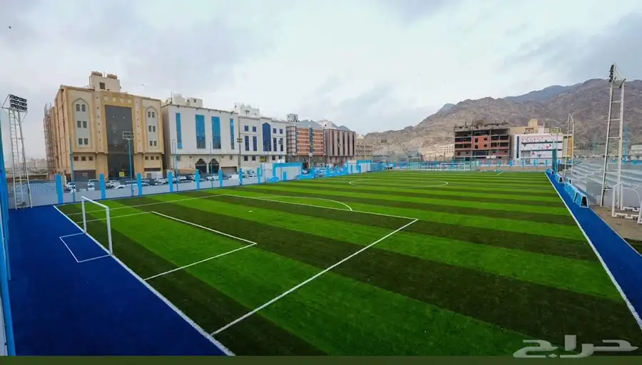 تنفيذ ملاعب العشب الصناعي ومكينة فرد العشب مكينة (SMG) 10