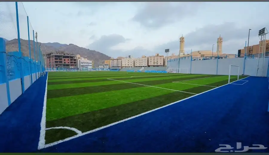 تنفيذ ملاعب العشب الصناعي ومكينة فرد العشب مكينة (SMG) 11
