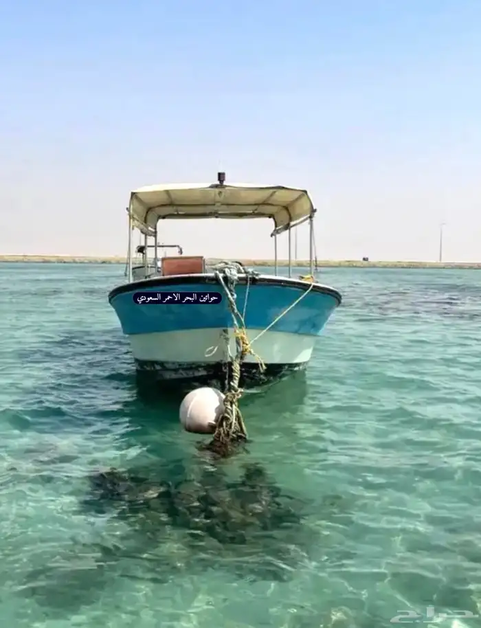 للبيع قارب الظاعن 2 استروك 100 ياماها 29 قدم 0
