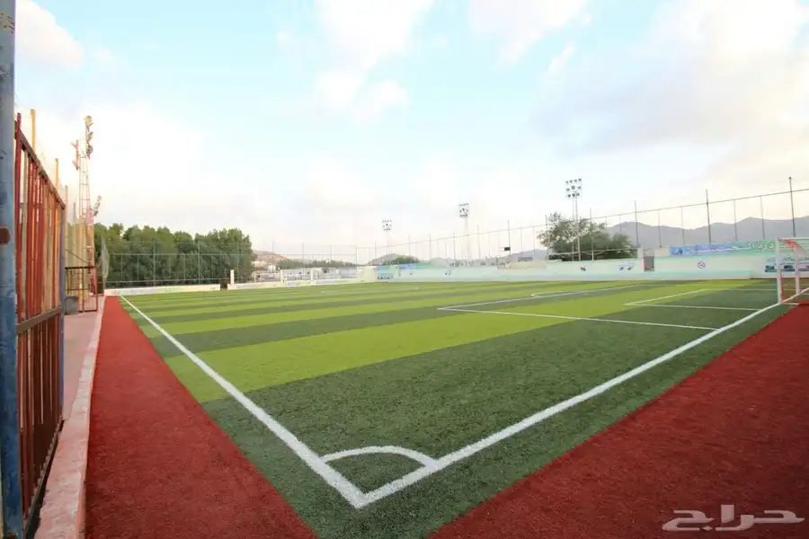 تنفيذ ملاعب العشب الصناعي ومكينة فرد العشب مكينة (SMG) 3