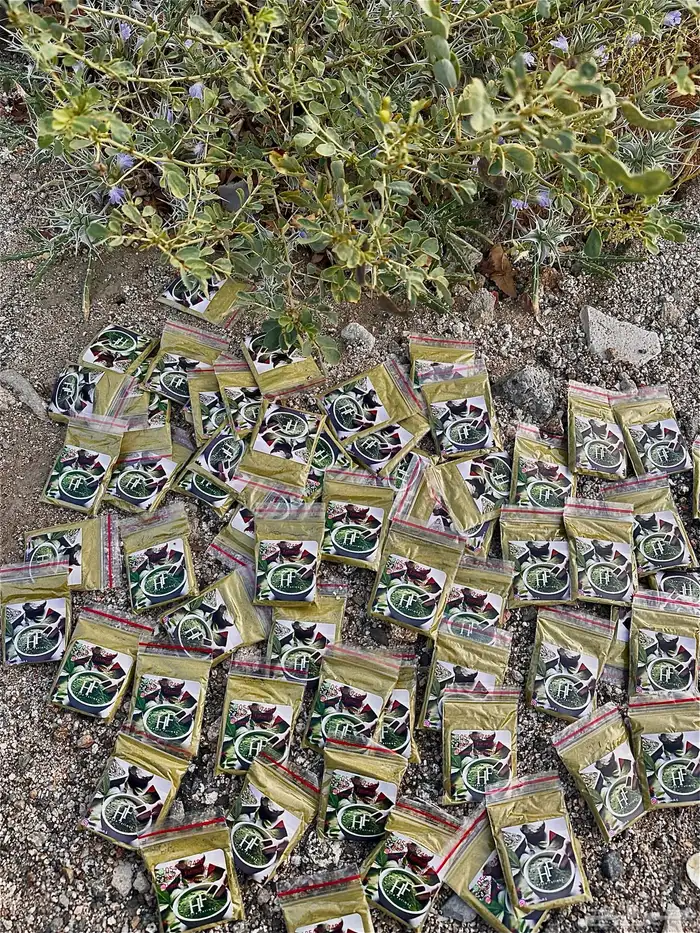 حنا عضوي 100 0