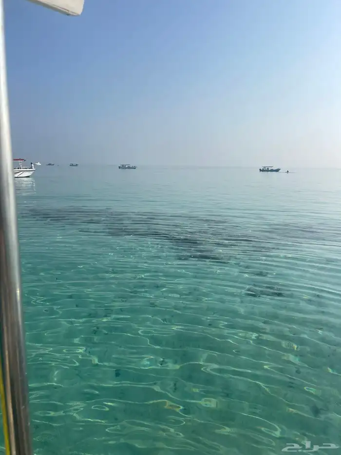 رحلات بحريه ورحلات جزيره بياضه شباب وعوائل جده ابحر 5