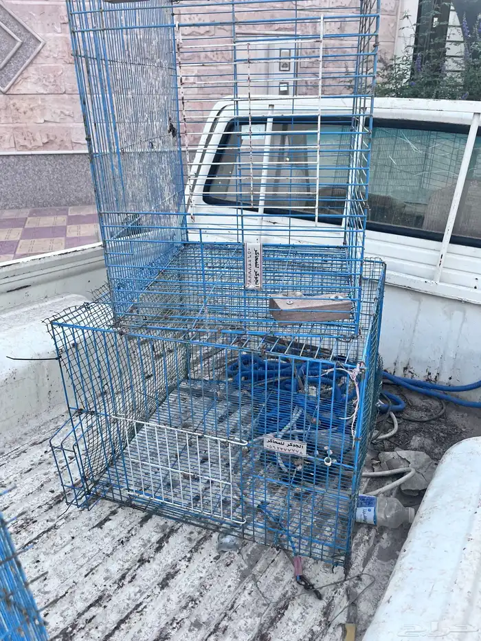 شبكين للبيع 0