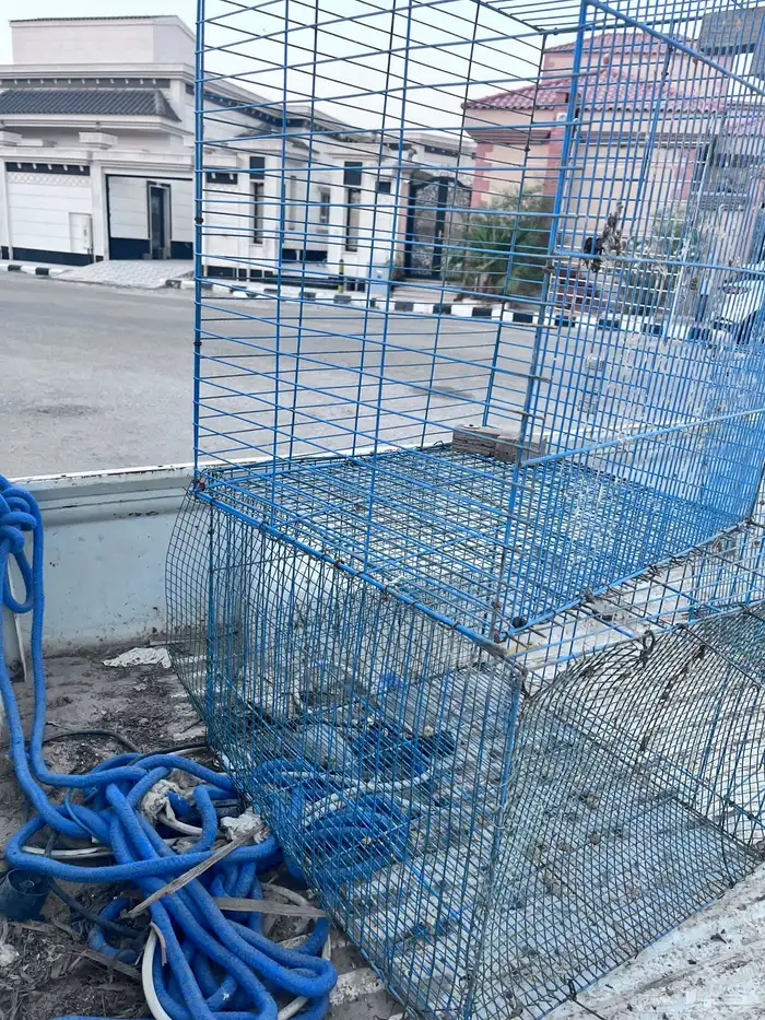 شبكين للبيع 2