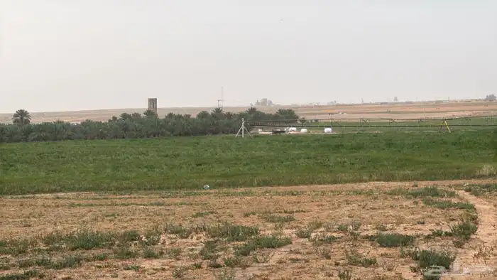 مزرعه شمال الفويلق للبيع 12