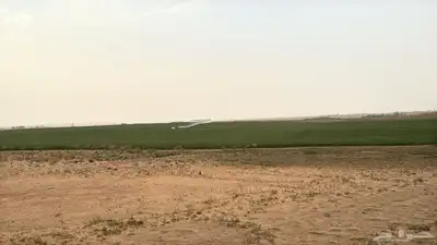 مزرعه شمال الفويلق البيع قريييب.. 16