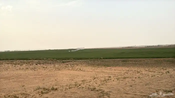 مزرعه شمال الفويلق للبيع 16